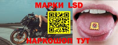 Альфа ПВП Ставрополь