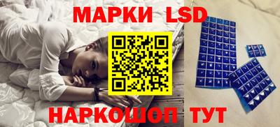 Альфа ПВП Ставрополь